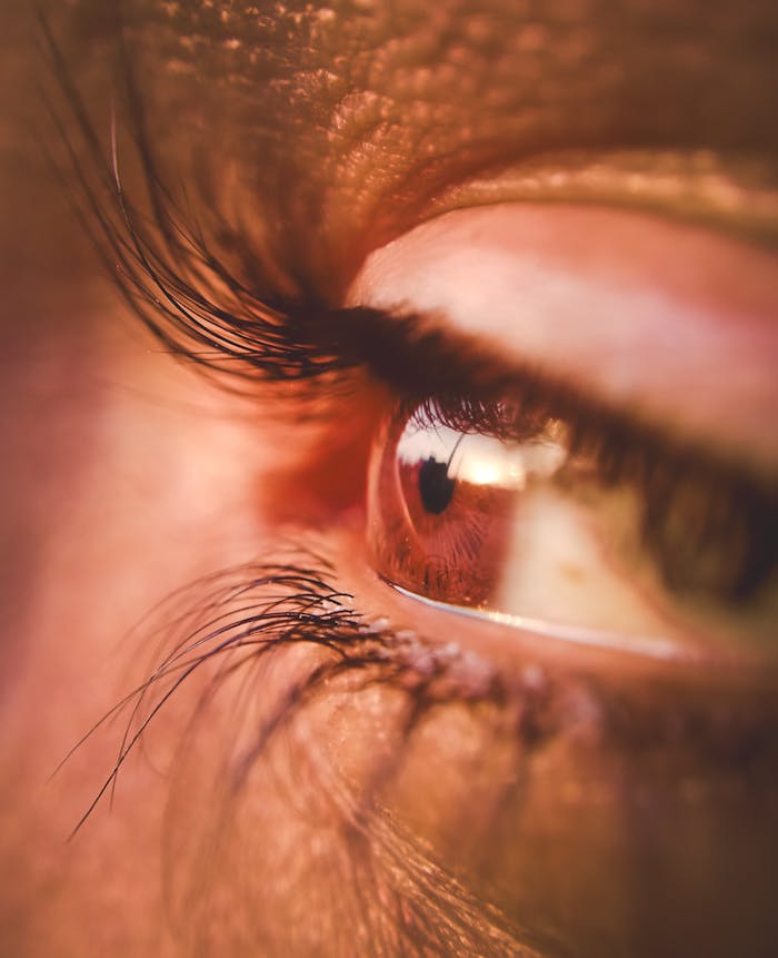 Eye